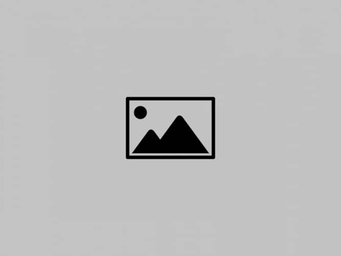 Image test article